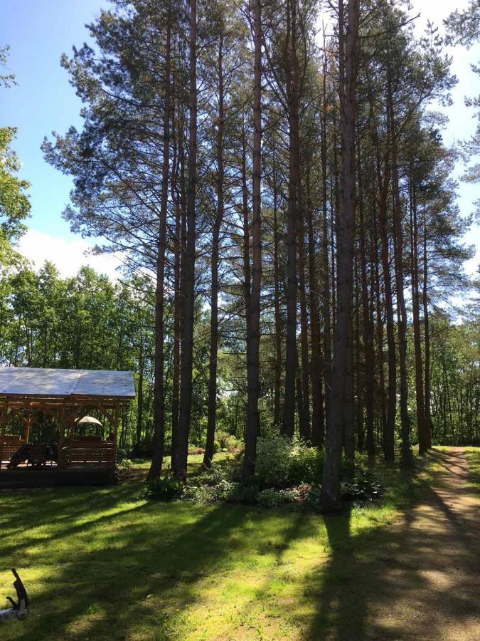 Vila Reinholdi Puhkemaja Jabara Exteriér fotografie