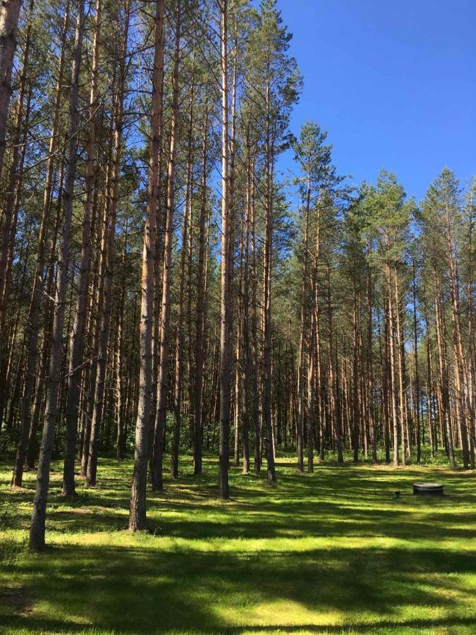 Vila Reinholdi Puhkemaja Jabara Exteriér fotografie